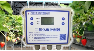 中國北方CO?新技術，將促進農(nóng)作物光合作用和光合產(chǎn)物的生成