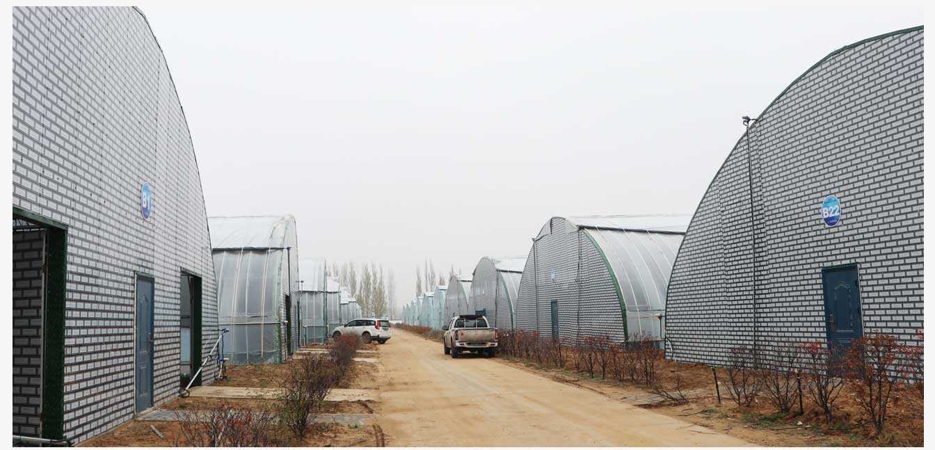 準(zhǔn)格爾旗現(xiàn)代智慧設(shè)施農(nóng)業(yè)產(chǎn)業(yè)園(網(wǎng)頁(yè))_22.jpg 準(zhǔn)格爾旗現(xiàn)代智慧設(shè)施農(nóng)業(yè)產(chǎn)業(yè)園(網(wǎng)頁(yè))_22.jpg