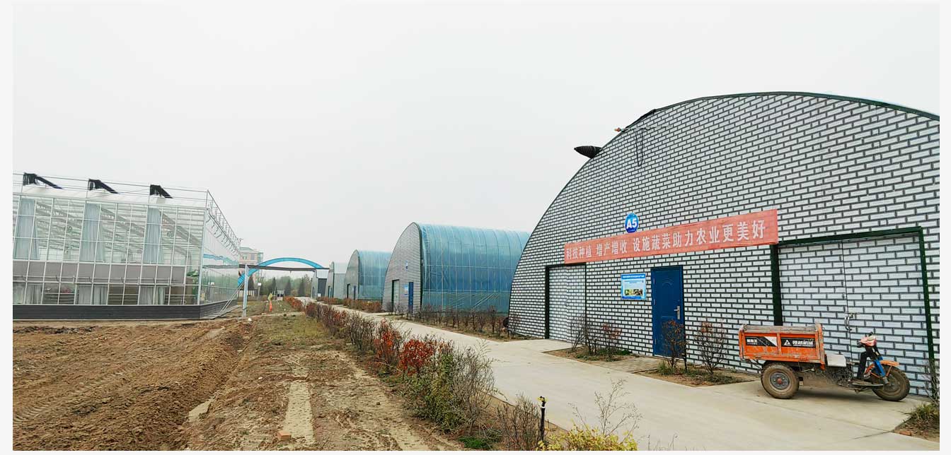 準(zhǔn)格爾旗現(xiàn)代智慧設(shè)施農(nóng)業(yè)產(chǎn)業(yè)園(網(wǎng)頁(yè))_28.jpg 準(zhǔn)格爾旗現(xiàn)代智慧設(shè)施農(nóng)業(yè)產(chǎn)業(yè)園(網(wǎng)頁(yè))_28.jpg