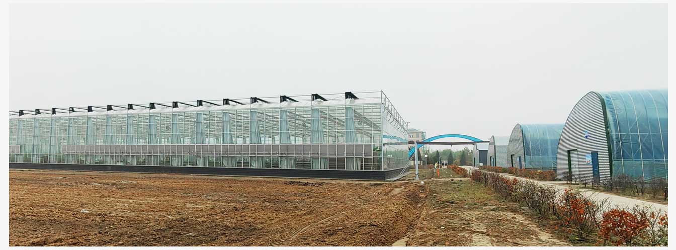準(zhǔn)格爾旗現(xiàn)代智慧設(shè)施農(nóng)業(yè)產(chǎn)業(yè)園(網(wǎng)頁(yè))_29.jpg 準(zhǔn)格爾旗現(xiàn)代智慧設(shè)施農(nóng)業(yè)產(chǎn)業(yè)園(網(wǎng)頁(yè))_29.jpg