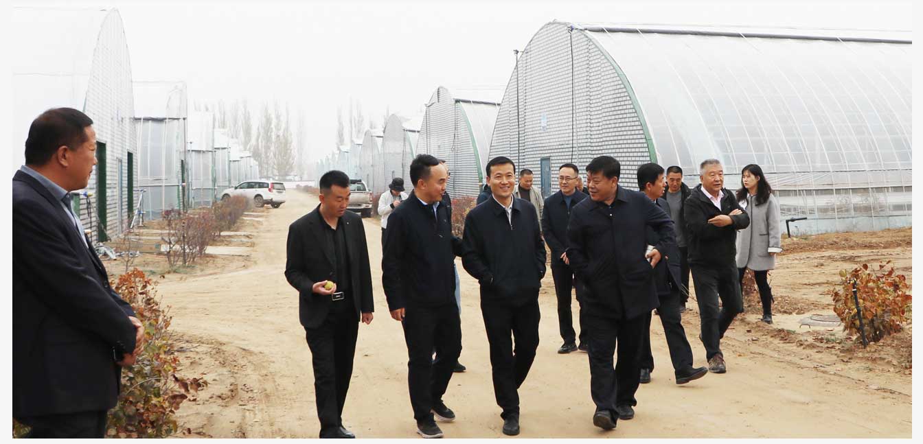 準(zhǔn)格爾旗現(xiàn)代智慧設(shè)施農(nóng)業(yè)產(chǎn)業(yè)園（網(wǎng)頁(yè)）_27.jpg