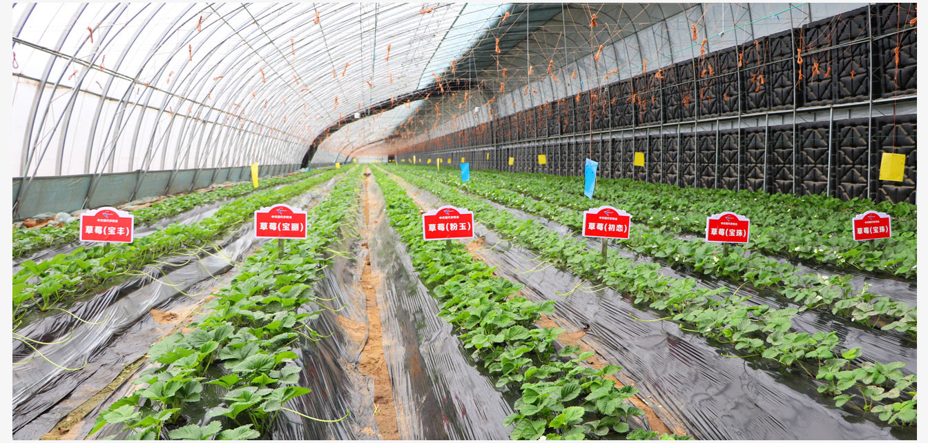 bfa80d9ad0f29d0bd5556e54f9c53a27_6386719259747194025710790.jpg bfa80d9ad0f29d0bd5556e54f9c53a27_6386719259747194025710790.jpg