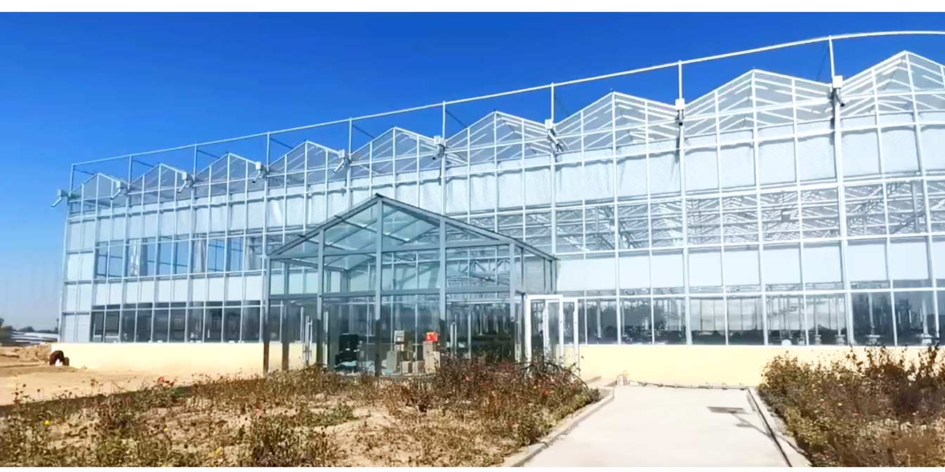 大路鎮(zhèn)苗家灘社區(qū)項目-智能溫室、日光溫室建設(shè)項目_13.jpg