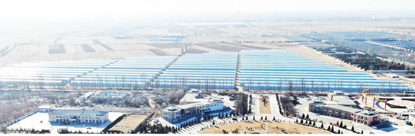 準格爾旗現代設施農業(yè)科技轉化示范園_05.jpg