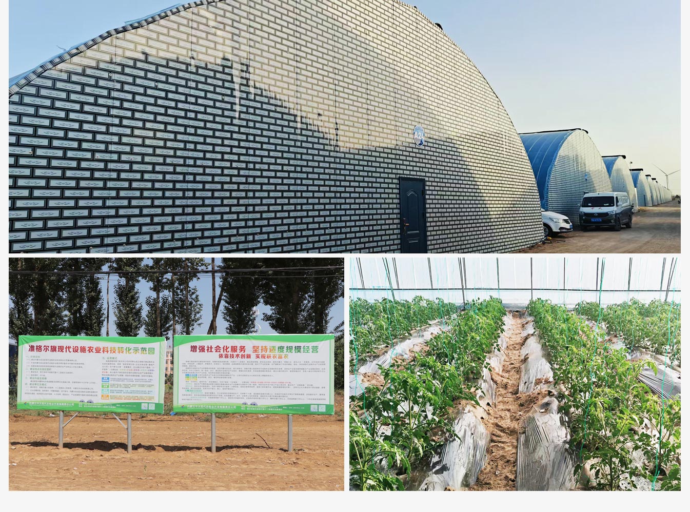 準格爾旗現代設施農業(yè)科技轉化示范園_10.jpg
