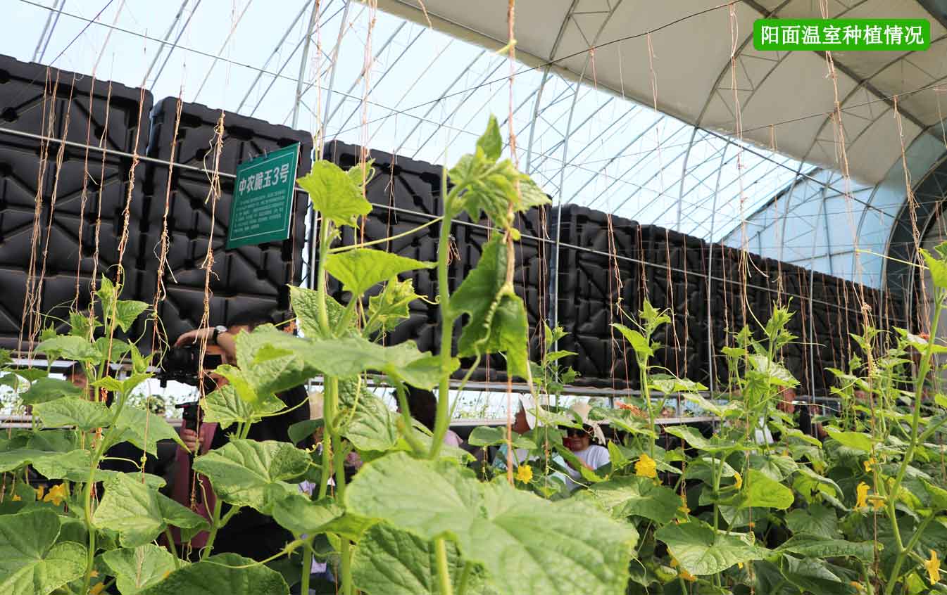2、四季溫室網(wǎng)頁_12.jpg