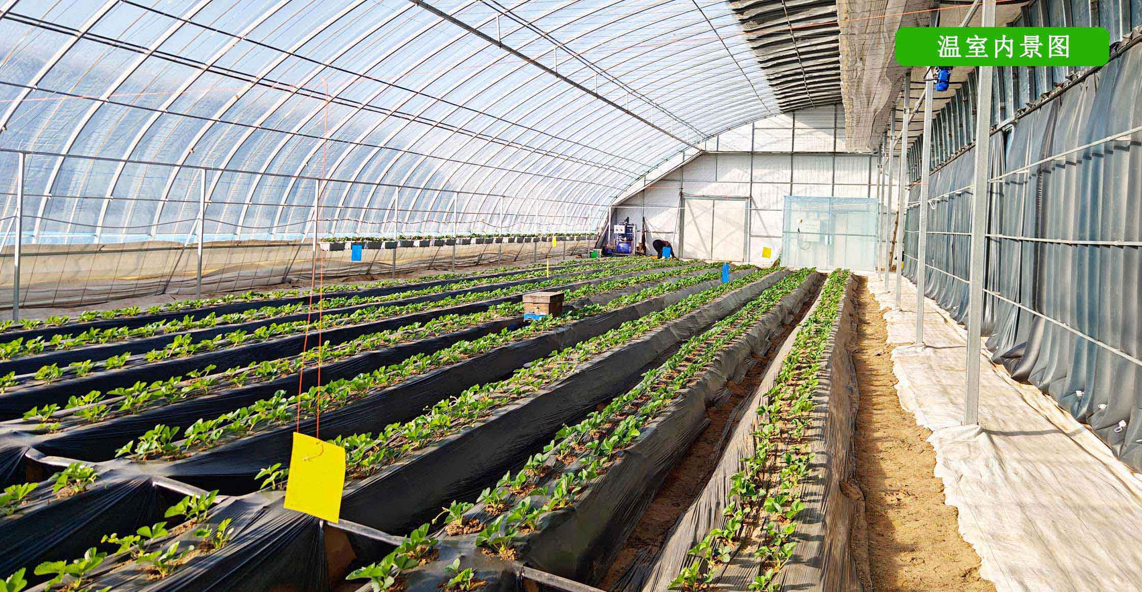 2、全天候四季溫室網(wǎng)頁(yè)_12.jpg